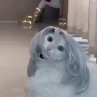 😎