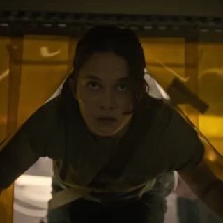 🌟