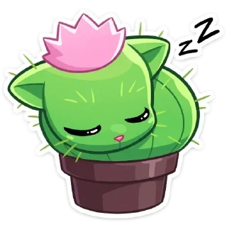 😴