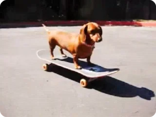 🛹