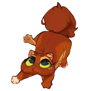 🐱