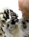 😾