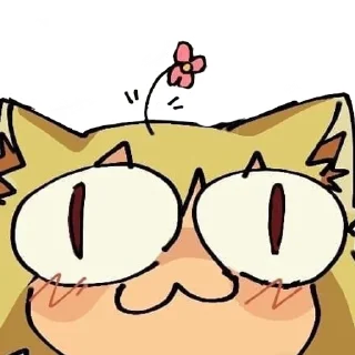 🌺