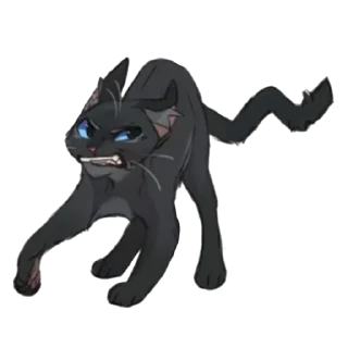 🐱