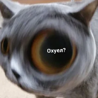 🤨