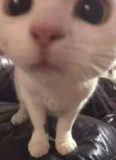 😨