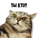 😲