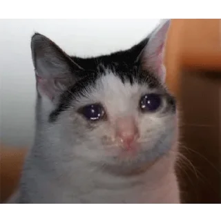 😭