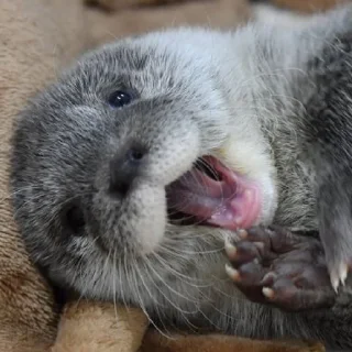 😁