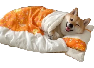 🛌