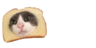 🍞