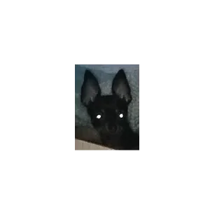 👺