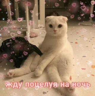 😘