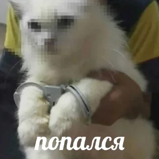 🥷