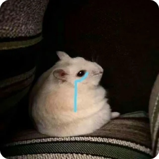 🥹
