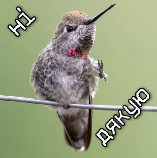🙅