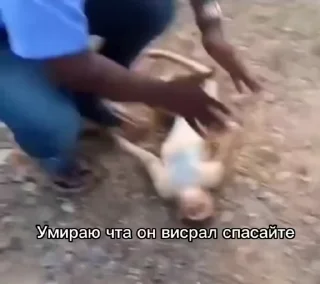 🙈