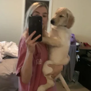 🐩