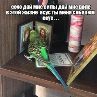 😪