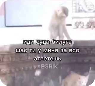 🌟