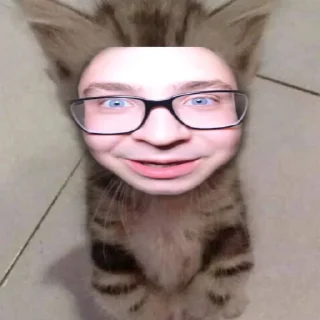 🙈