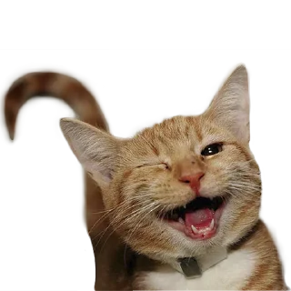 😉