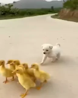 🥰