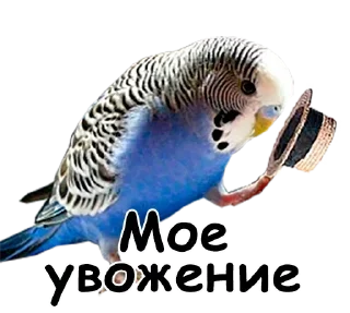 🙂