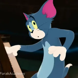 🤷‍♂️