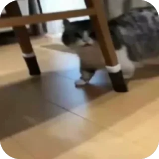 🫥