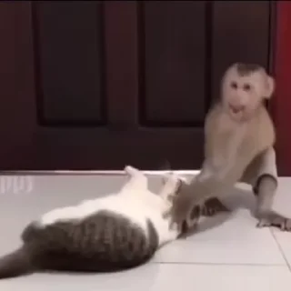 😇