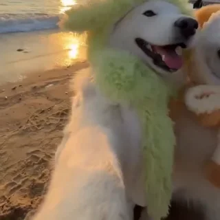 🤳