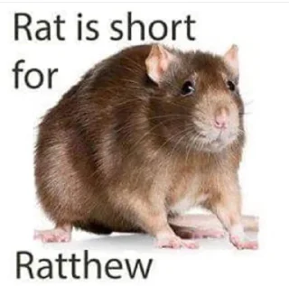 🐀