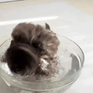 🚿