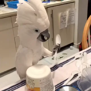 🤩