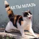 😡