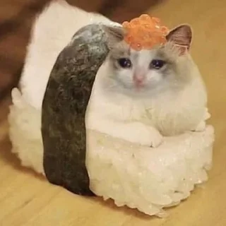 🍣