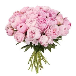 🌸