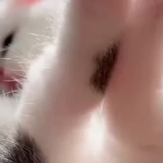 😏