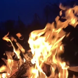 🌟