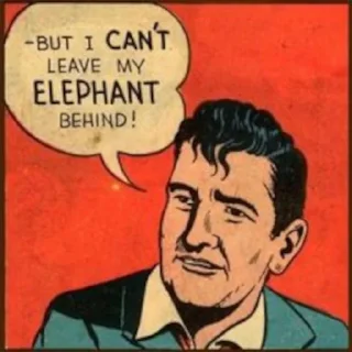 🐘