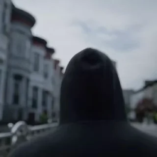 🥷