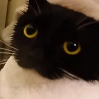 🛀