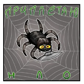 🕷️