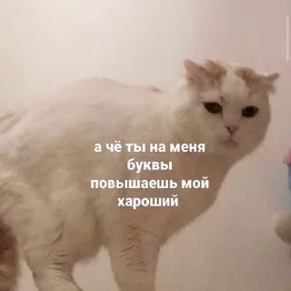 😠