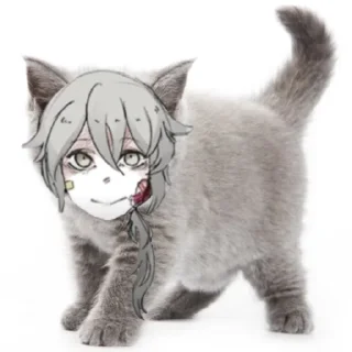 🐈‍⬛