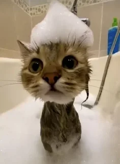 😇