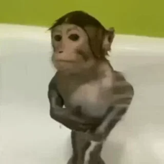 💦