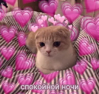 💗