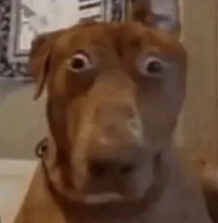 😱